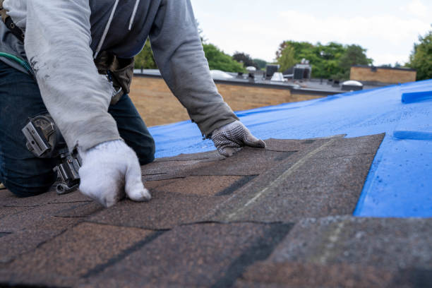 Quick and Trustworthy Emergency Roof Repair Services in Curtice, OH
